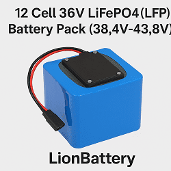 12 Cell 36 LiFePo4 (LFP) Battery Pack (38.4V-43.8V)