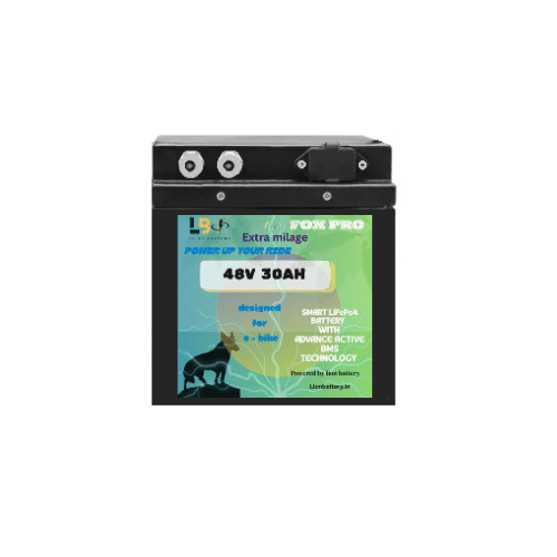 Fox Pro LiFePO4 48V 30Ah E-Bike Battery | Ultra-Safe Long-Life Lithium Iron Phosphate Pack