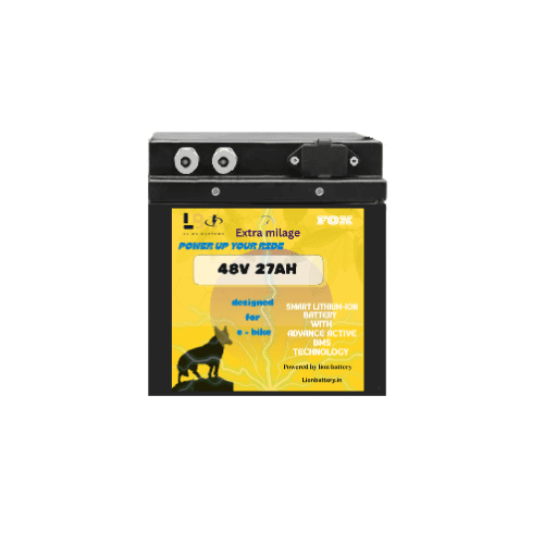Fox Lithium-Ion 48V 27Ah E-Bike Battery | Premium Electric Bike Battery