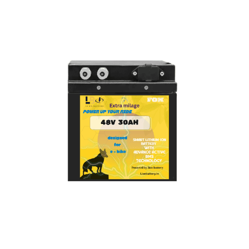 Fox Lithium-Ion 48V 32Ah E-Bike Battery | High-Performance Electric Bike Battery