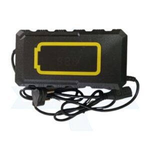 48V 3A Lead Acid Battery Charger for Electric Bikes & Scooters | Smart Automatic Charger
