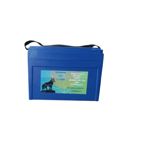 Fox Pro LFP 51.2V 15Ah E-Bike Battery Long-Life LiFePO4 Electric Bike Battery