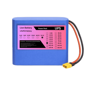 16 Cell 51.2v LiFePo4 (LFP) Battery Pack (48V-55.5)