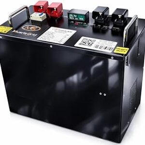 48V 100Ah LiFePO4 lithium battery