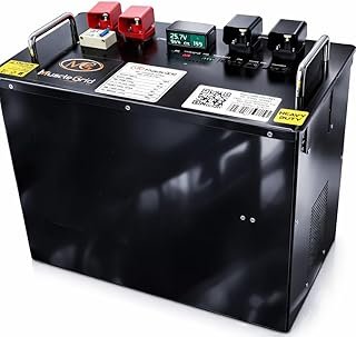 48V 100Ah LiFePO4 lithium battery