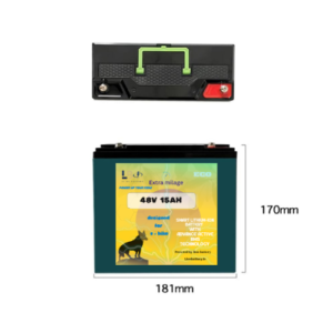 Eco Series 48V 15Ah Lithium-Ion E-Bike Battery | Rechargeable Electric Bike Battery Pack