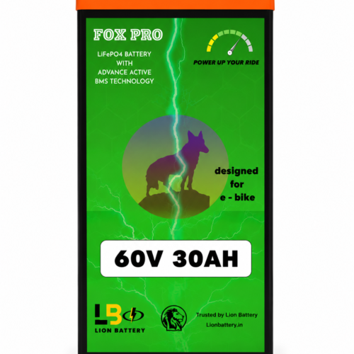 60v 30ah lfp battery