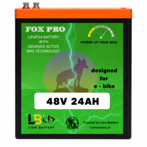 FOX PRO Lithium Battery 48V 24Ah | High-Performance E-Bike LiFePO₄ Battery Pack
