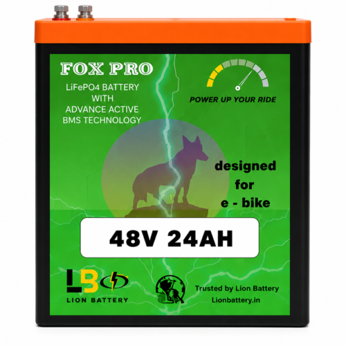 FOX PRO Lithium Battery 48V 24Ah | High-Performance E-Bike LiFePO₄ Battery Pack
