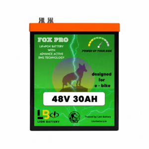 48v 30ah lfp battery