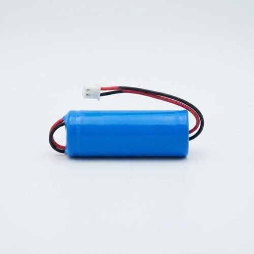 Power Pack LiFePO₄ 1S 3V 6000mAh 1S1P 3C with BMS LFP Battery Pack